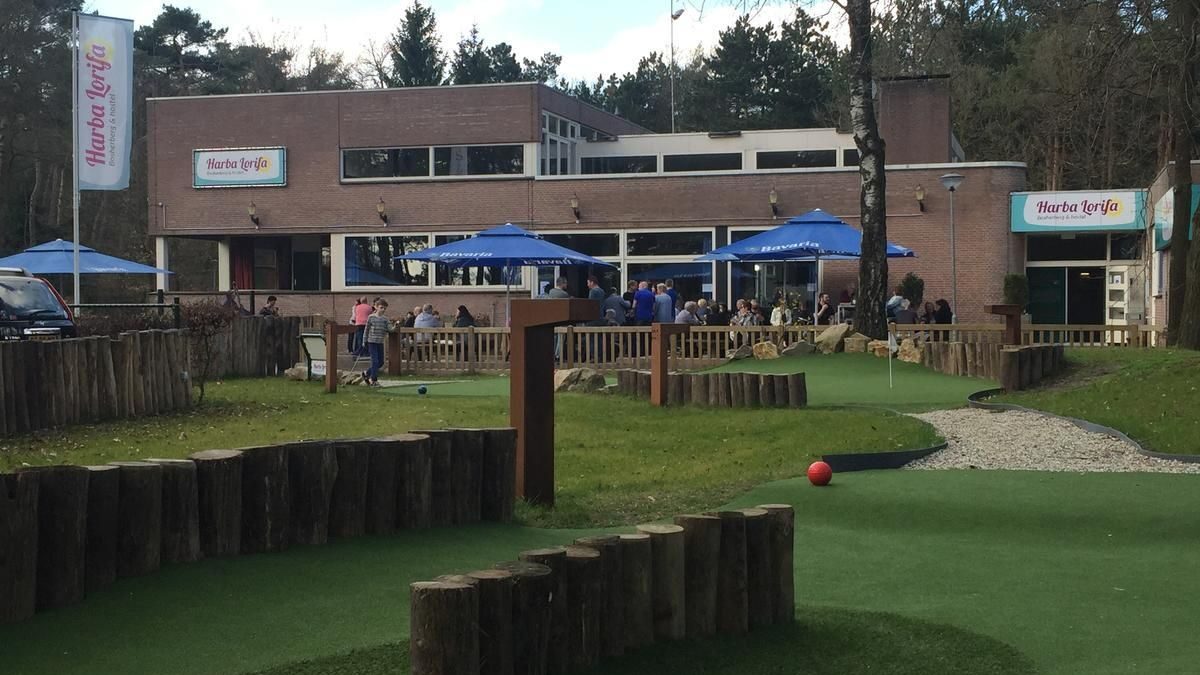 3 (11)