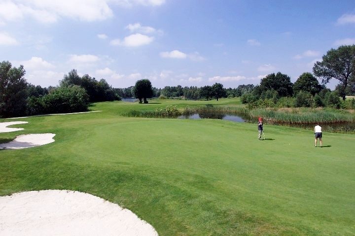 5 (77)
