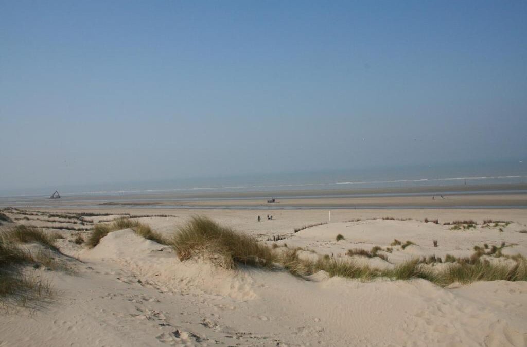 Peerdevisser 3