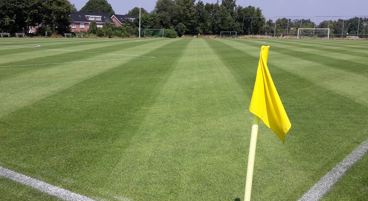 Schermafbeelding 2026-03-11 154432