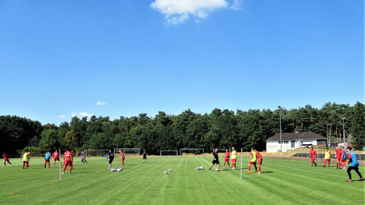Training
