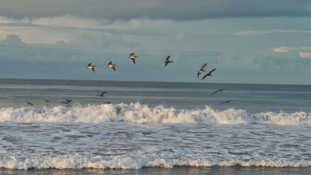 costa caparica