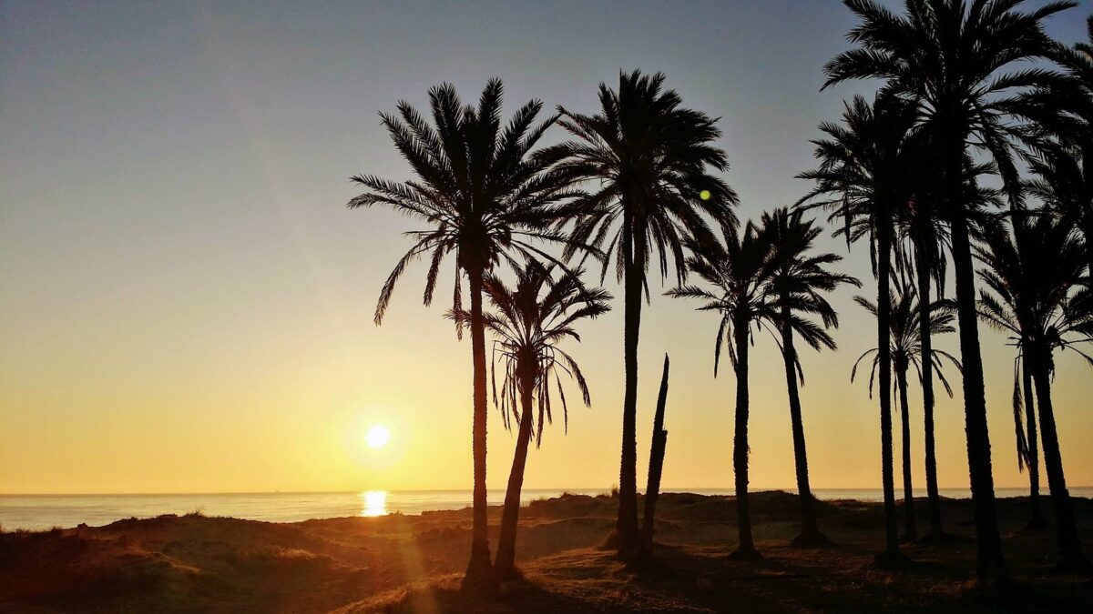 medi2go-spain-2968699_1920