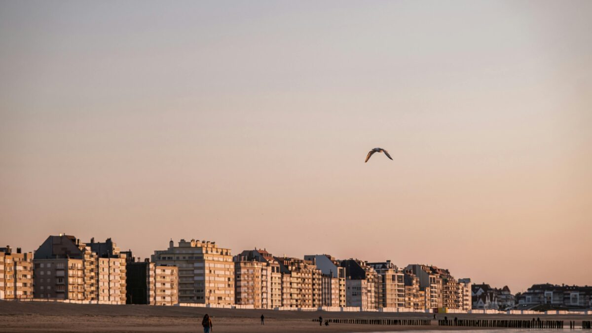 pexels-laura-paredis-1047081-13156139